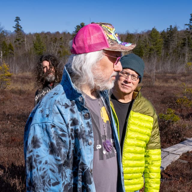 Dinosaur Jr.