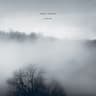 In The Mist
