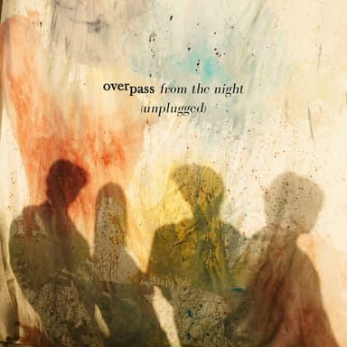 From the Night (Unplugged)