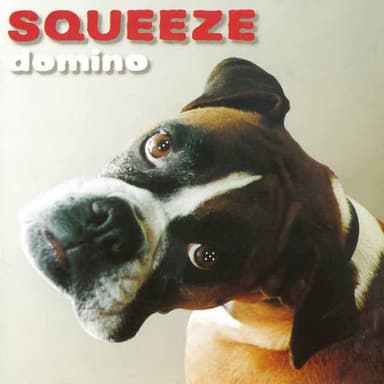 Domino