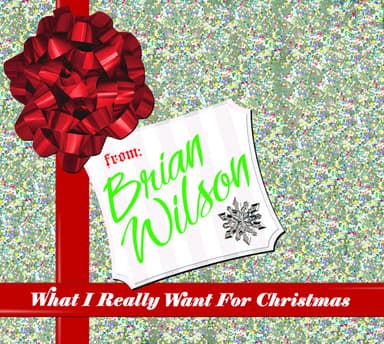 What I Really Want For Christmas