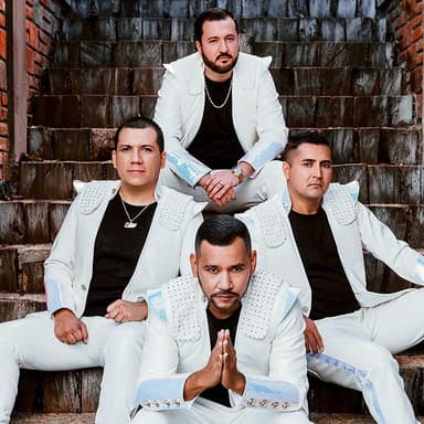 Los Buitres De Culiacan Sinaloa