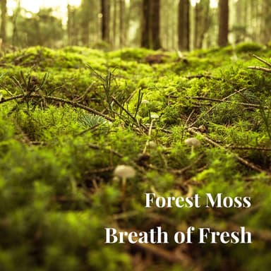 Forest Moss