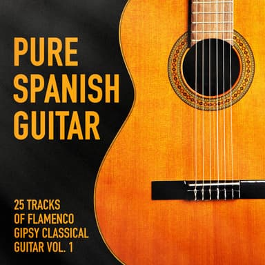The Spanish Guitar
