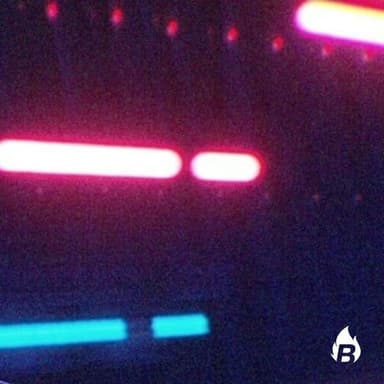 DRAPX