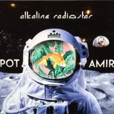Pot Amir