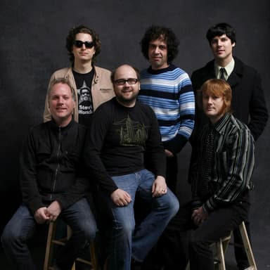 The Apples in Stereo