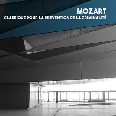 Bratislava Chamber Orchestra