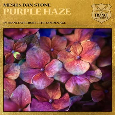 Dan Stone