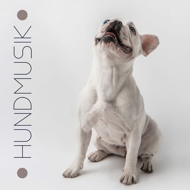 Hundmusik oas