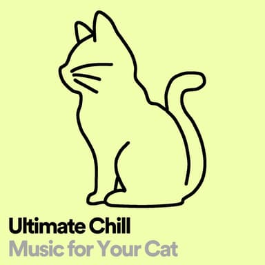 Cats Music Zone
