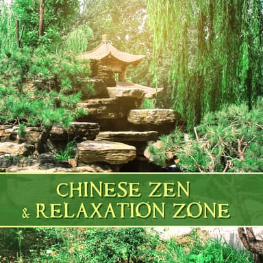 Chinese Yang Qin Relaxation Man