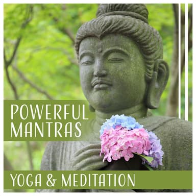 Meditation Mantra Academy