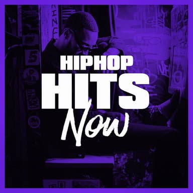 The Hip Hop Nation