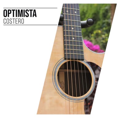 Guitarra Acústica y Guitarra Española