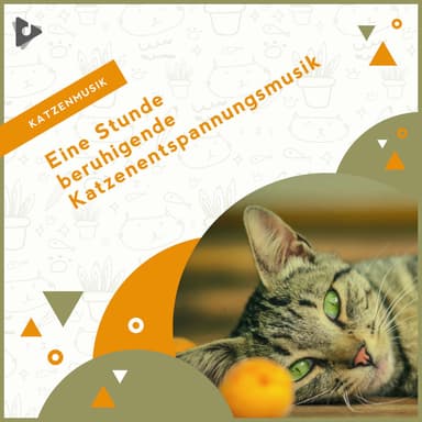 Beruhigende Kätzchenmusik