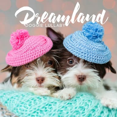Sleepy Dogs Hz
