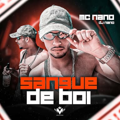Mestre nano