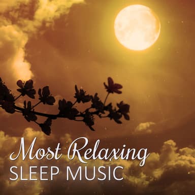 Beautiful Deep Sleep Music Universe