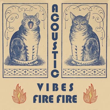 Acoustic Vibes