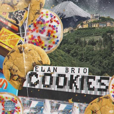 Elan Brio