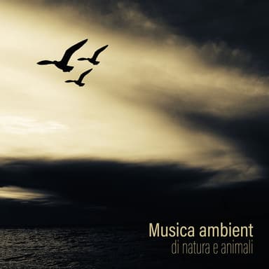 Relax ambientale musica zen club