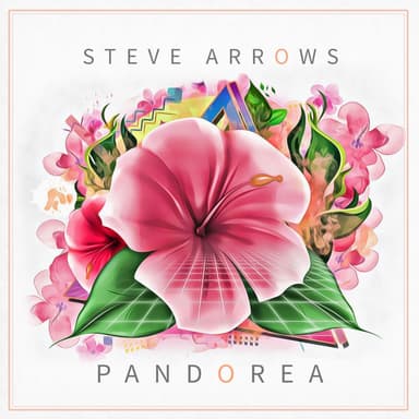Steve Arrows