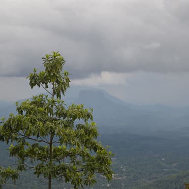 Chandana Liyanaarachchi