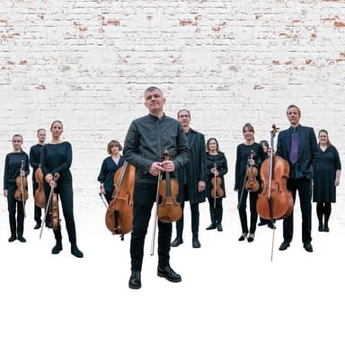 Orchestra Of The Swan
