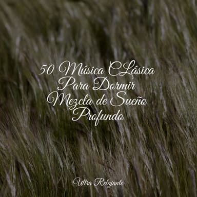 Lluvia Relajante