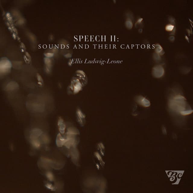 Speech II: Sounds and their Captors