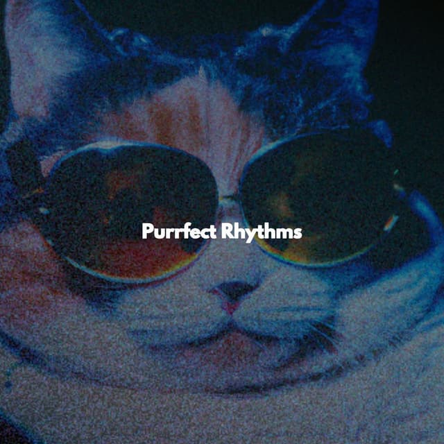 Purrfect Rhythms