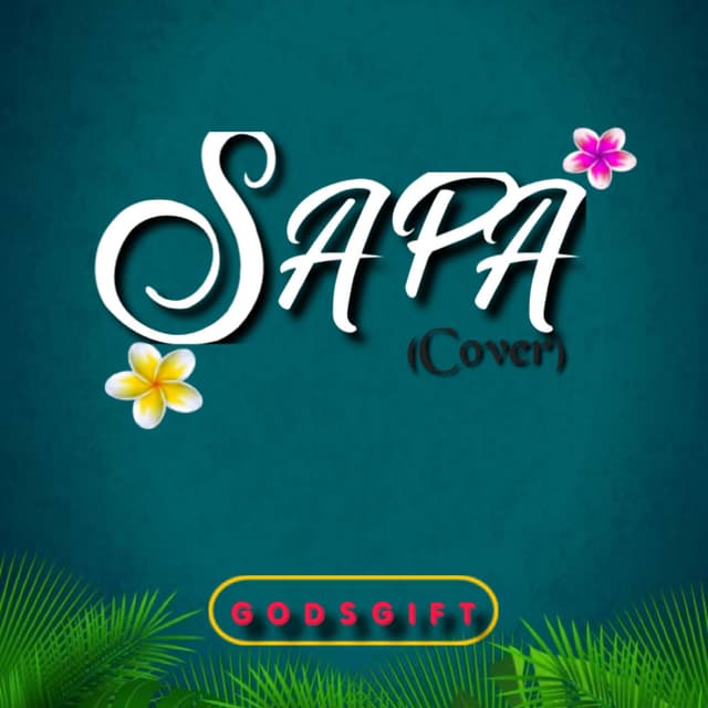 Sapa no fit catch me