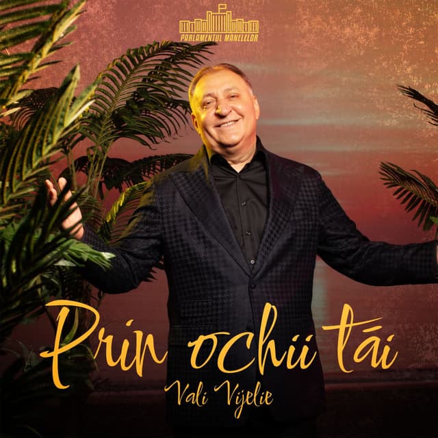 Prin ochii tăi