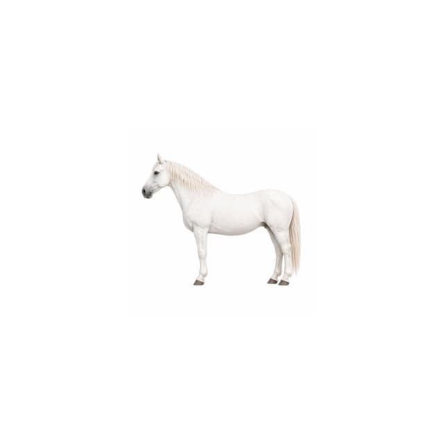 Cheval blanc