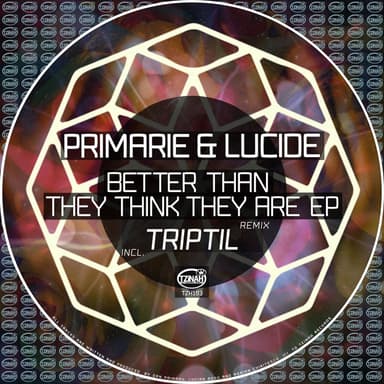 Better Than They Think They Are (Triptil Reinterpretation)