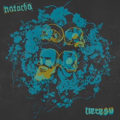 Neceso