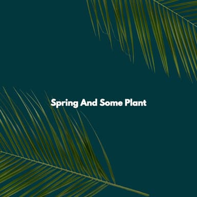 Spring And Some Plant
