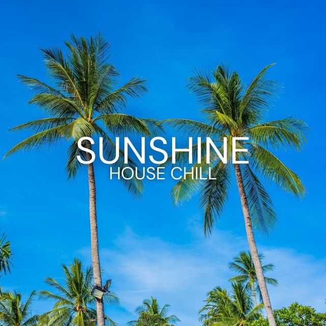 Sunshine House Chill: Summer Vibes and Electronic Grooves
