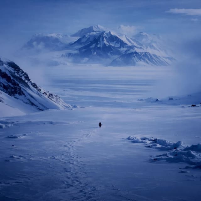 L'amour Toujours (Organ Penguin) (Slowed & Reverb)