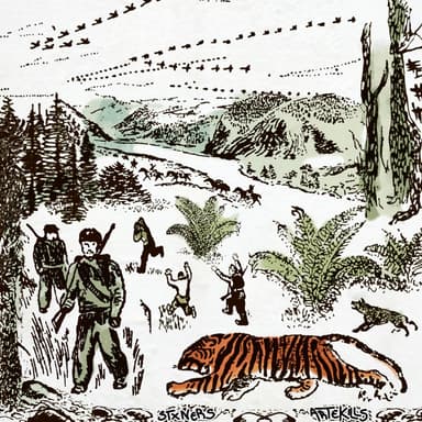 Taiga & Cazador
