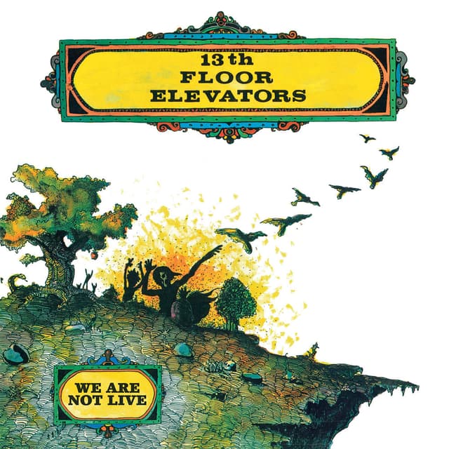 We Are Not Live