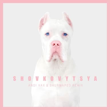 Shovkovytsya (Andi Vax & Shurmaped Remix)