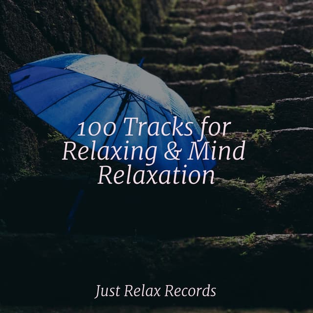 100 Tracks for Relaxing & Mind Relaxation