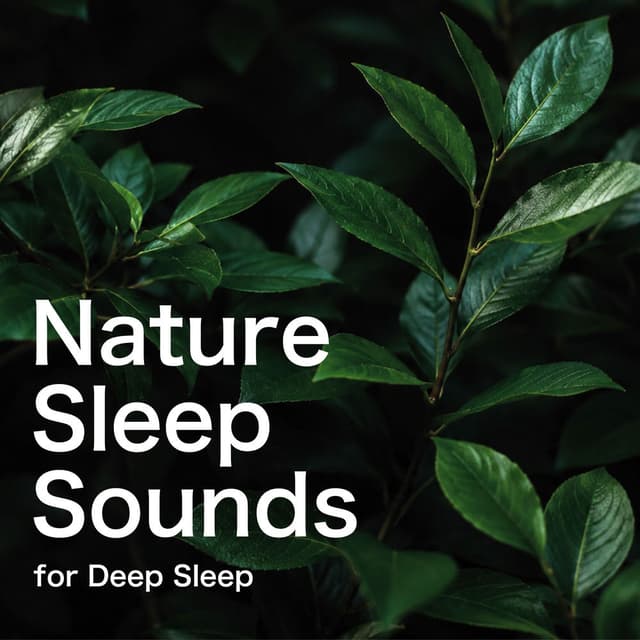 Nature Sleep Sounds for Deep Sleep