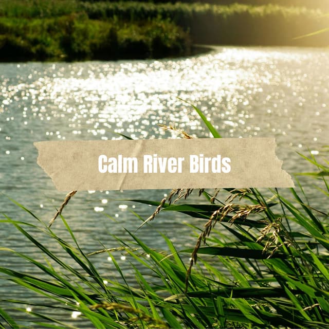 Calm River Birds
