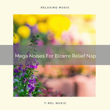 Mega Noises For Bizarre Relief Nap