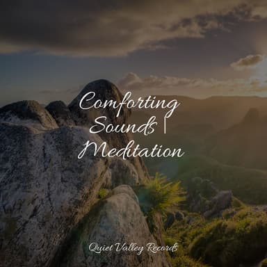 Comforting Sounds | Meditation