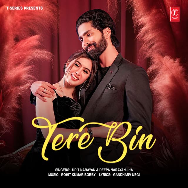 Tere Bin