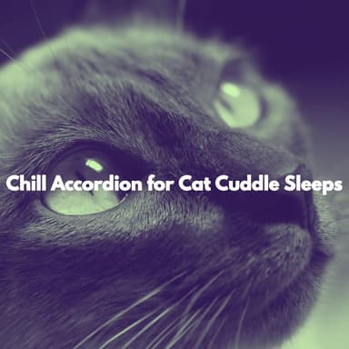 Chill Accordion for Cat Cuddle Sleeps